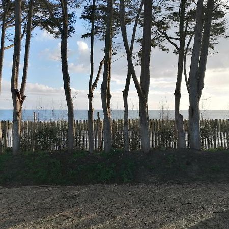 Mobilhome Neuf 2021 Vue Sur Mer Quiberon Eksteriør billede